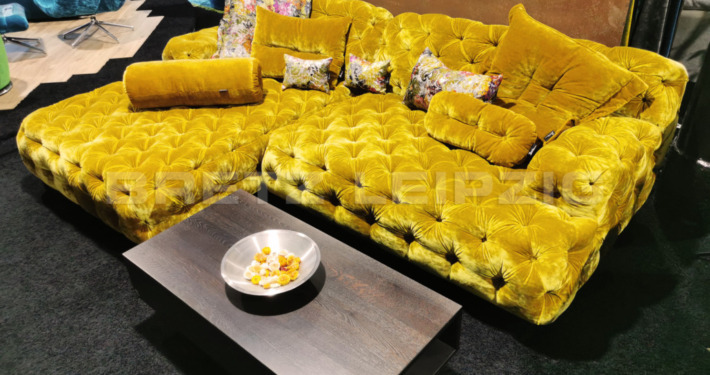 COCOA ISLAND - marigold